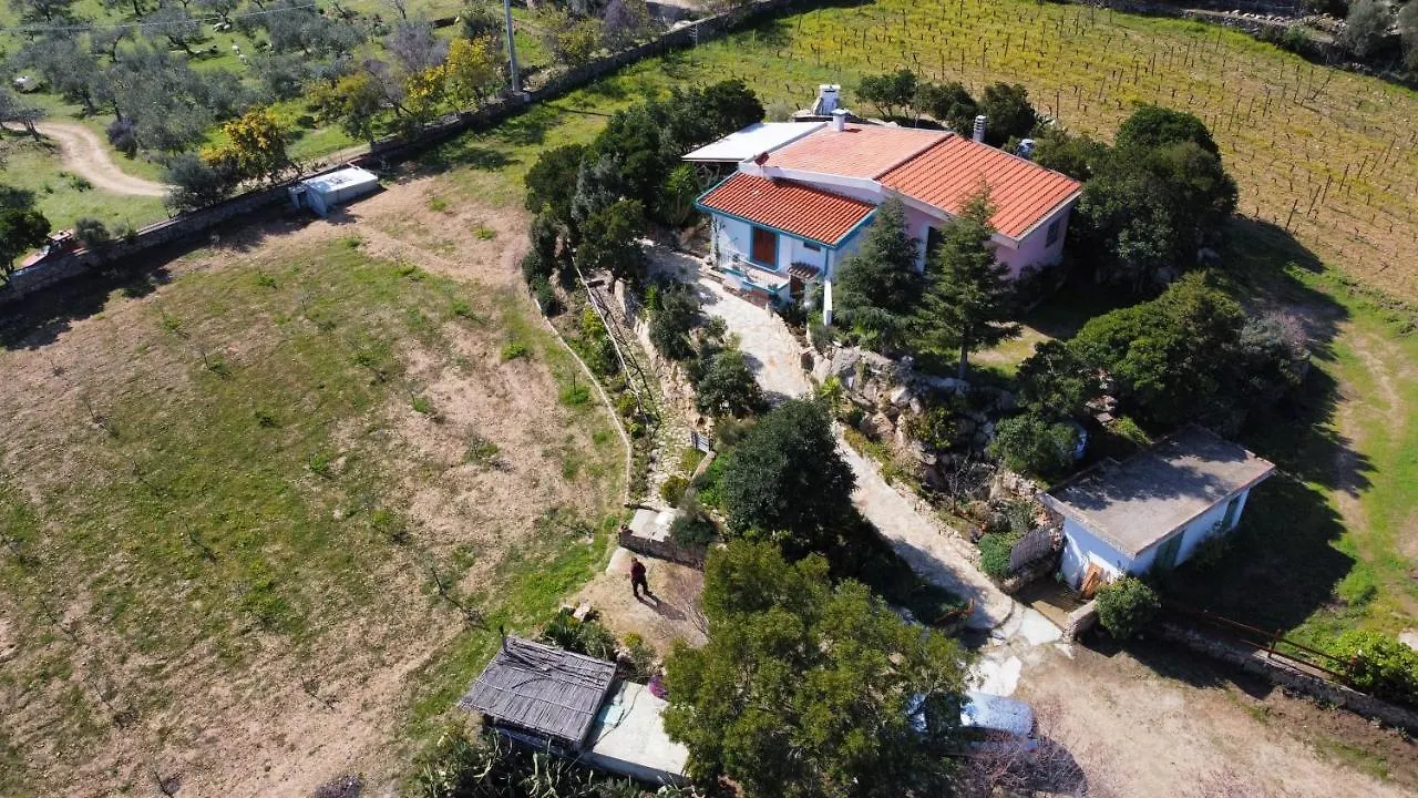 Villetta Con Giardino E Barbecue Dorgali