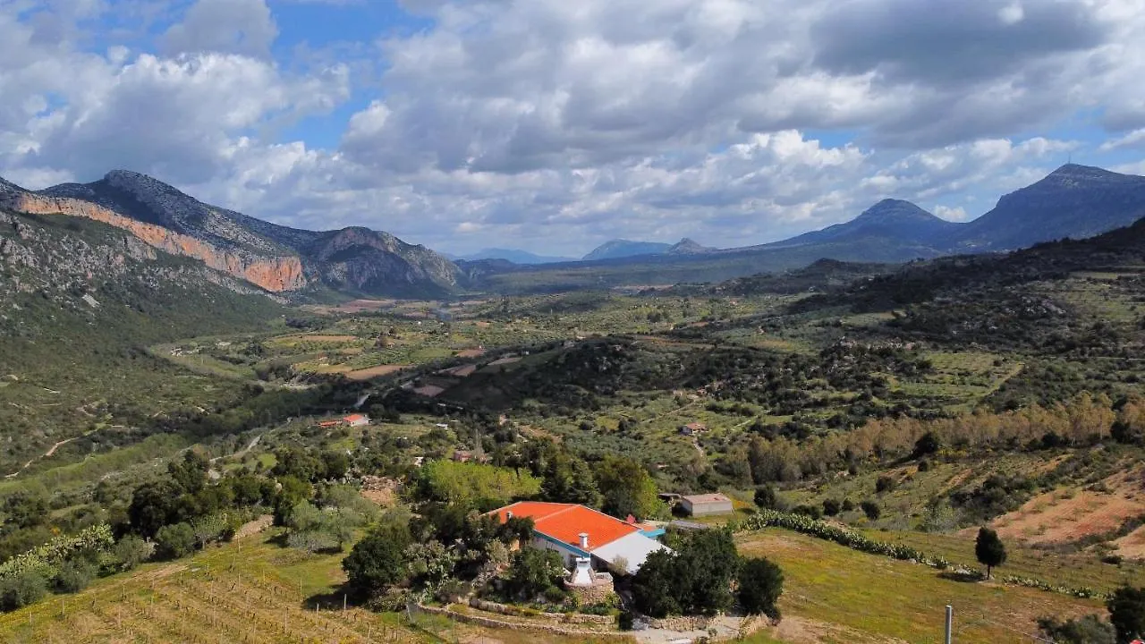Villetta Con Giardino E Barbecue Dorgali Ιταλία